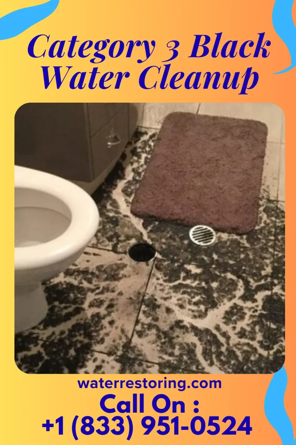 Category 3 Black Water Cleanup in Krugerville, TX
