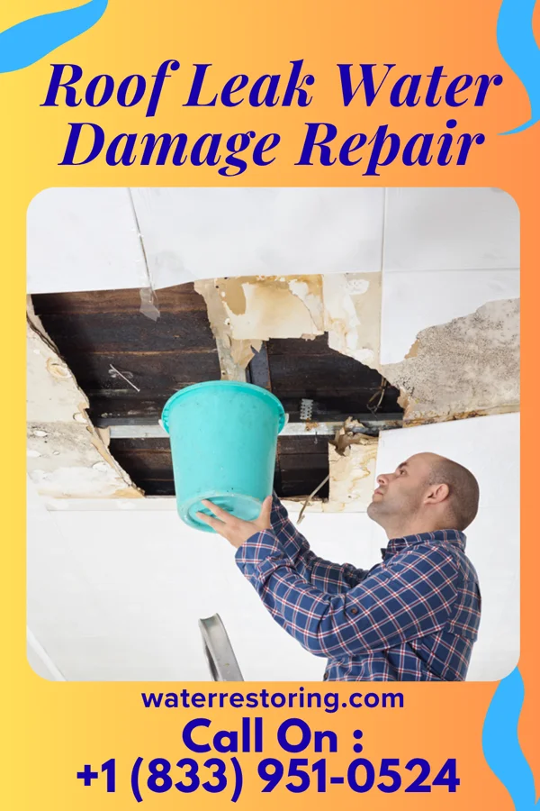 Roof Leak Water Damage Repair in Krugerville, TX
